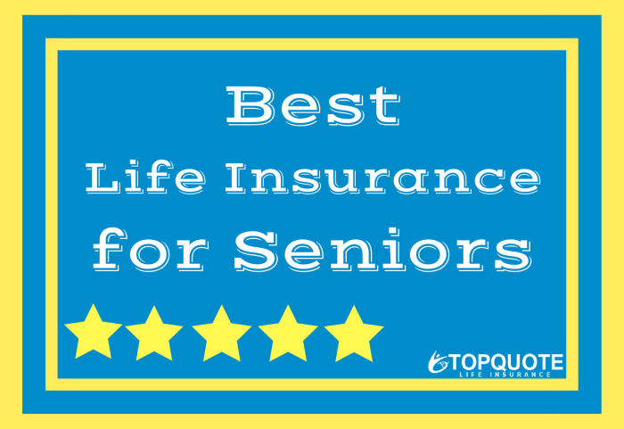 Life Insurance Companies