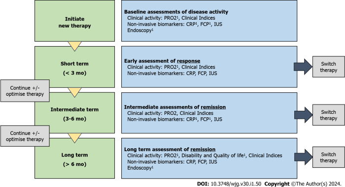 Treat to target in Crohn’s disease: A practical guide for clinicians