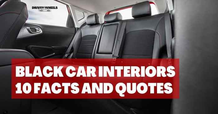 Why Black Car Interiors Dominate the Market: 10 Facts and Quotes ...